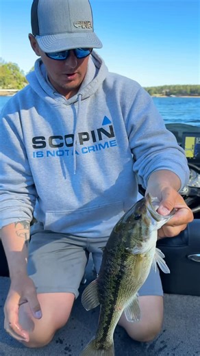 Douglas Chapin on Instagram: "How to fizz a bass through the mouth. Make sure you are not angled toward the fish’s back. Just go straight in. #fishing #bassfishing #fishingtips #bassfishingbasics #fizzingbass"