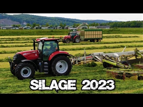 Silage 2023 ~ Mowing, Raking, Silaging and Silage Clamp Action