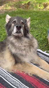 8.9K views · 502 reactions | With this string I send you with a piece...