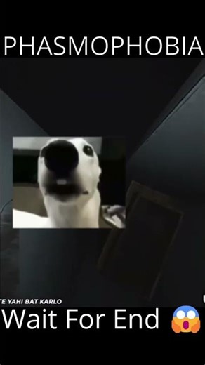 FUNNY MOMENTS OF PHASMOPHOBIA AND GLITCHES 😱🤣 #phasmophobia #ghosthunting #horror #scary #gaming