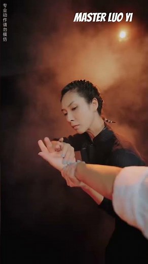 Martial Arts Mastery: Sun Wukong's 72 Grappling Techniques 💥 - Master Luo Yi