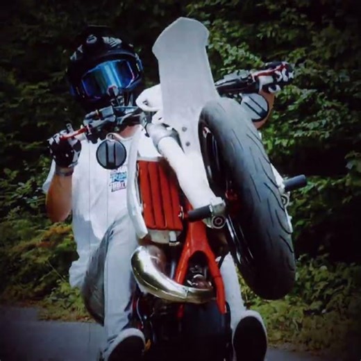 Best bakers in the world ￼