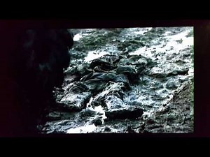 Run over by Sherman tank