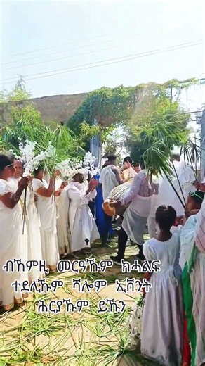 "ሻሎም ኢቨንት ሕርያኹም ይኹን" #zemari_abel_mekbib #abelbirhanuየወይኗልጅ2