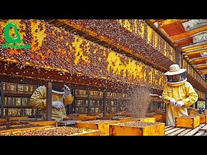 How Mega BEE Farms Raise Billions Bees And Process Millions Tons Of Honey | Honey In Factory