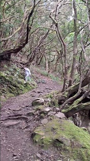 Top Hiking Spot in Tenerife Anaga Mountains Adventure | Magical Hiking Trail in Spain