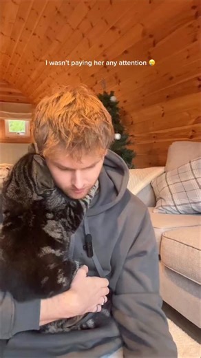 Harry & Lippy on Instagram: "She was waiting for a cuddle. . . . . . . . . . . #cat #catsofinstagram #cats #catstagram #instacat catlover catoftheday catlovers cats_of_instagram ilovemycat catsagram lovecats catlife tabbycat cutecat catlove kittycat instacats caturday vacations instagramcats cats_of_world mycat cutecats lippy catdad cat_features"