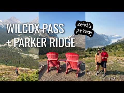 Hiking Wilcox Pass trail and Parker Ridge (Saskatchewan glacier viewpoint) trail | Banff Canada