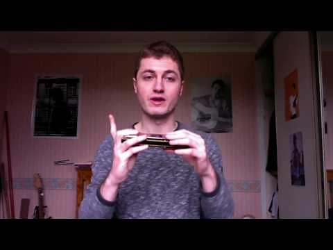 Beginner Chromatic Harmonica Lesson 2 Basics