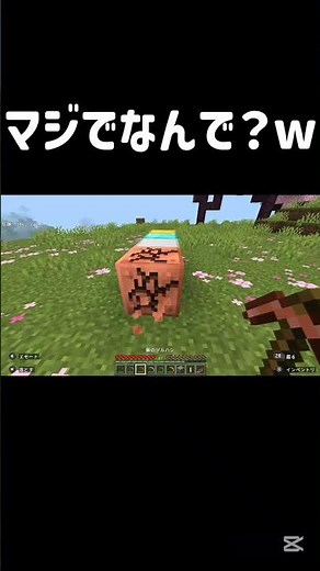 差別はだめっすよ