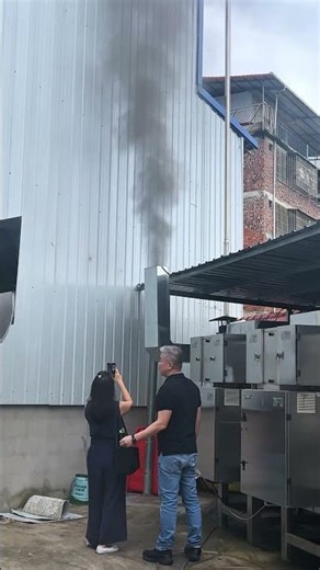 industry black smoke treatment equipment,smoke removal machinery#boilerblacksmoke