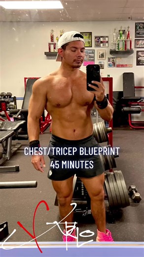 Here’s a simple blueprint for a chest/tricep workout. You can adapt the weight, as needed. A circuit here means 3 exercises back-to-back-to back, then you take a 2 minute rest. Each circuit takes 20 minutes. Total time will be around 45 minutes. Take a 5 minute rest, after the 1st circuit. Stay off your phone, but keep an eye on the timer. Maximize your time in the gym. Stay focused, and you’ll see the results of your dedication. #gym #fitness #gymtok #fittok #exercise #chest #workout #gay #lgbt