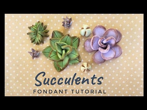 How to make 5 different fondant SUCCULENTS