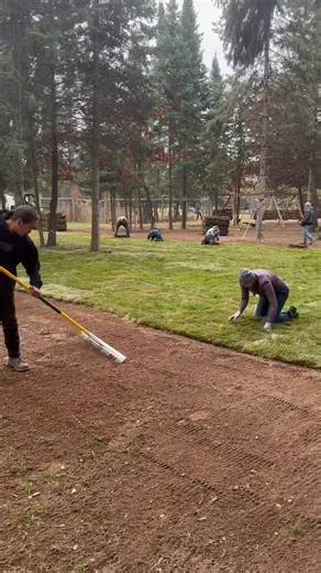 This is how the Primal team loves our customers. They spread 7 truckloads of topsoil levelled everything and are laying over 50 pallets of sod. They see the joy in families in the summer and I wanna make sure their experience is safe, joyful and beautiful. Thank you all for encouraging our team to strive for excellence.❤️💪❤️ Scott | Primal Eats