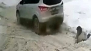 Moment woman, 77, run over TWICE after driver 'mistakes her for deep snow'