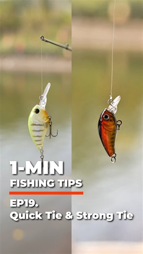 108K views · 1.5K reactions |  Welcome to KastKing 1-Minute Fishing Tips! ⏱️ Ep. 19: Two Ways to Tie On a Lure — choose your style: Quick Tie for fast, on-the-water rigging, or Strong Tie when you need maximum strength and confidence. Two simple methods, one secure connection—ready in under a minute!  Follow us for more quick and easy fishing hacks! #KastKing #Fishing #FishingTips #FishingKnots #HowToTieALure | KastKing | Facebook