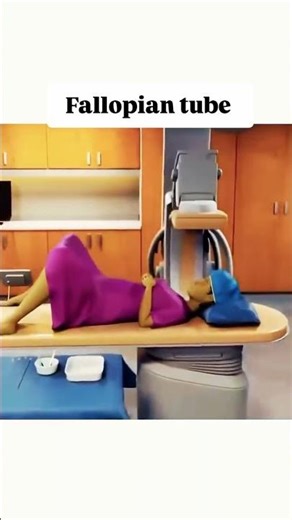 fallopian tube #study #studymotivation #studymusic #studywithme #studytips #studymaterial #ytshort