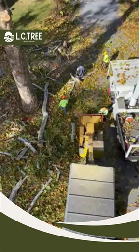 🌳 Keep your property safe, beautiful, and healthy with our professional Tree Services! 🌿 Whether it’s trimming, removal, or full maintenance, our expert team handles it all with care and precision. From storm cleanup to routine pruning, we’re here to keep your trees strong and your landscape stunning. 🌱✨ 📞 Contact us today for a free estimate!