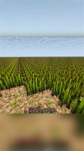 In a world of wheat fields #minecraft #minecraftshorts #minecraftmods #minecraftsurvival #gameplay