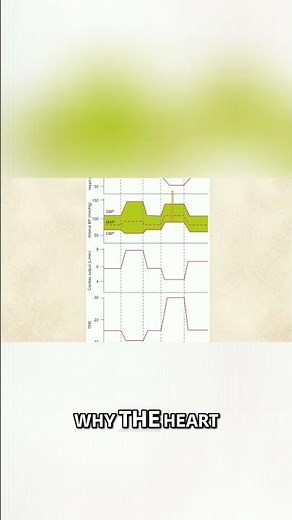 Norepinephrine's Alpha-One Effect: Blood Pressure & Heart Rate #shorts