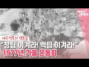 "청팀 이겨라! 백팀 이겨라!" 1977년 가을 운동회 | 백투더투데이