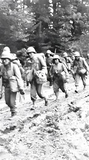 3.3K views · 106 reactions | Heroic WWII Medic. The heroic story of James Okubo, a Japanese-American serving as a medic with the US Army's 442nd Regiment in Europe. He repeatedly braved machine gun fire, while unarmed, to save the lives of his comrades in Eastern France. Although KIA, he was awarded the Medal of Honor posthumously. | Mike Guardia - Author | Facebook