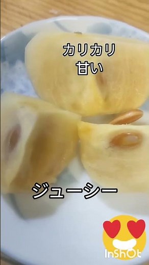 太秋柿は植え付け2年〜3年で収穫可能サクサクジューシーで皮ごと食べてみます非常に大玉の品種で育成:農業食品産業技術総合研究機構が「富有」を親として育成しました。 鉢植え家庭菜園 #家庭菜園 春秋植え