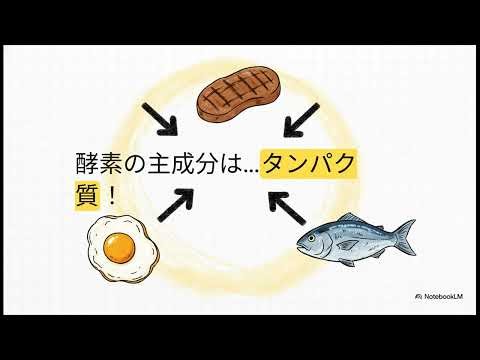 生物基礎06：酵素のすごさを徹底解説！なぜ傷口にオキシドールで泡が出るの？