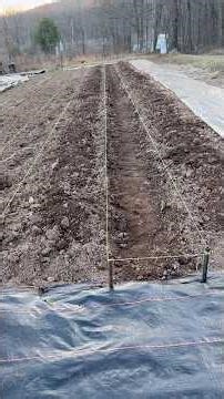 Getting things done!