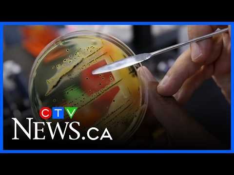 McMaster University researchers discover antibiotic against drug-resistant bacteria