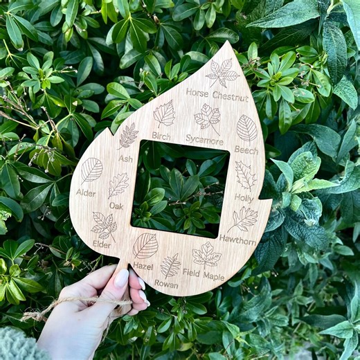 Forest School Leaf Identifier With Frame Viewer | Outdoor Learning | Forest School Resources | Early Years Resources | Montessori Resources - Etsy