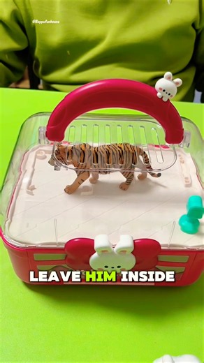 🐰 He Stole Bunny's House... Then Got Locked Inside! 😂#shorts #funny #viral
