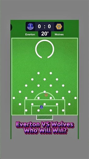 Who Will Win? Everton VS Wolves #everton #wolves #footballclub #soccerteam #games #shortvideo