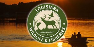 LDWF releases 2024 - 25 hunting and fishing regulations