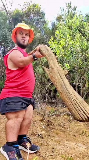 Have you ever seen a #dwarf bloke throw a BIG log into the water to make a splash? Now you have... #JoshJoke #LetsSmileTogether | Short Bloke Josh