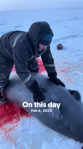 The Battle with the Beast - A Learning Experience