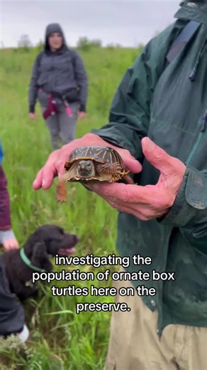 4.3K views · 88 reactions | Meet the cutest conservationists you'll...