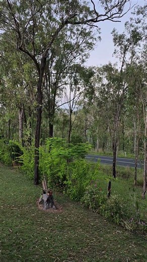 vf commodore #fast cars. #australia