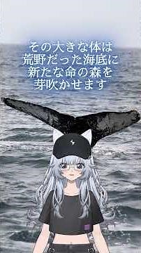【深海の神秘】クジラの死体が海底に起こす『奇跡』#クジラ #鯨 #ホエールフォール #鯨骨 #深海 #海洋生物 #自然 #命の循環 #ドキュメンタリー