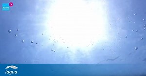 ¿Cuántos tipos de agua existen según su dureza?