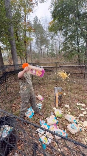 BAITING HOG TRAP #outdoors #trap #hunting #feeding #hog #shorts #wildlife