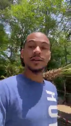 5.2K views · 372 reactions | It’s palm tree day  !! Continuing to create an environment 2nd to none for the best customers any business owner could have. We appreciate y’all! Take a break from the everyday hustle with a trip to Perkins Orchard. After today we will have 14 palm trees 7-15 feet on the property  | Perkins Orchard | Facebook