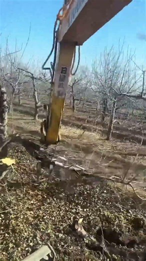 Easy way to break tree branches, good tools make the craftsman's work easier