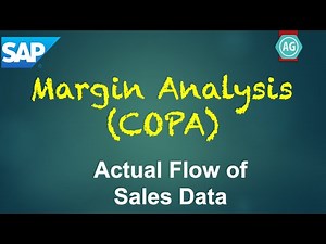 S4HANA Profitability Analysis (3): Demo Flow of Actual Sales Data with Predictive Accounting