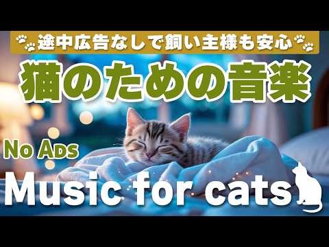 猫が落ち着く音楽（12時間・途中広告なし）｜留守番中も安心できるヒーリングピアノBGM | Relaxing Music for Cats | No Ads | 12 Hours _vol.654