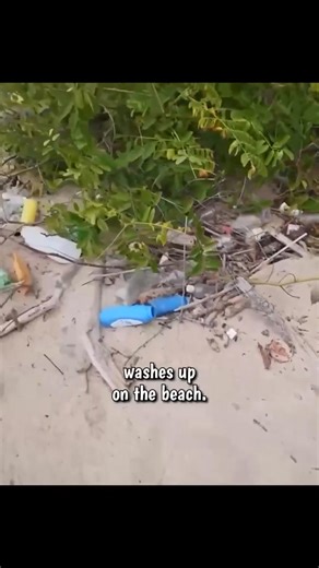 Stranded on a Deserted Island: Building Shelter Amidst Ants and Challenges! #fblifestyle | Kara and Nate