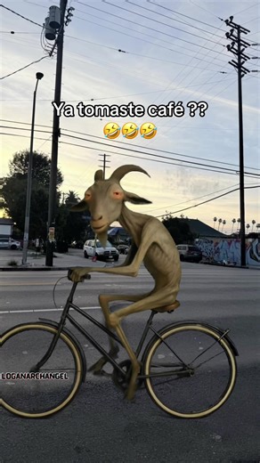 Pregunta seria 😂 | cafe