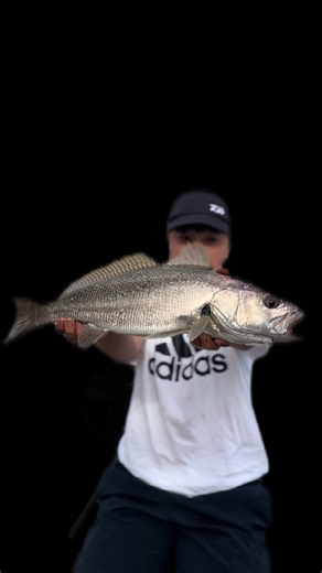 Fishing for Jewfish at Foreshore Breakwall