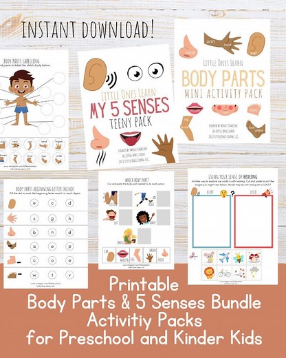 Printable Body Parts and 5 Senses Activities for Kids | Worksheet Bundle Preschool and Kindergarten - Etsy