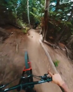 8.6K views · 374 reactions | @steezygiese765 chasing @brynnerthepinner down Fire Swamp at Deer Valley. | : GoPro @steezygiese765 | Deer Valley Resort | Facebook